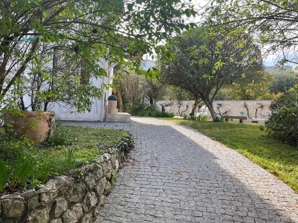 Sublime Haut De Villa Apercu Mer /Hippodrome / Cagnes-sur-Mer Eksteriør billede