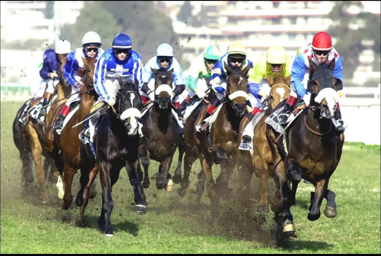 Sublime Haut De Villa Apercu Mer /Hippodrome / Cagnes-sur-Mer Eksteriør billede
